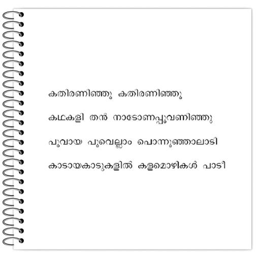 Picture of the product