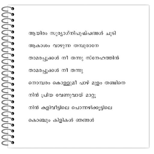 Picture of the product