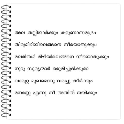 Picture of the product