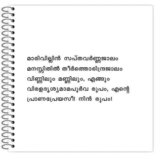 Picture of the product