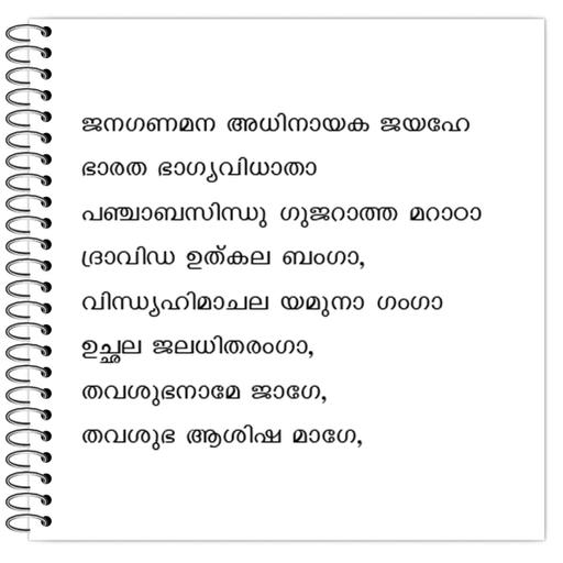 Picture of the product