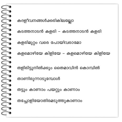 Picture of the product