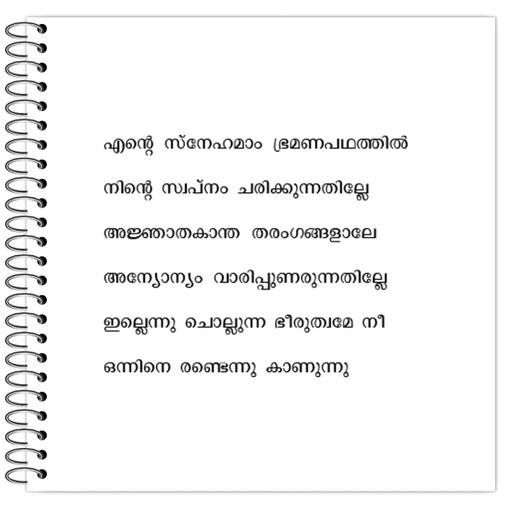 Picture of the product