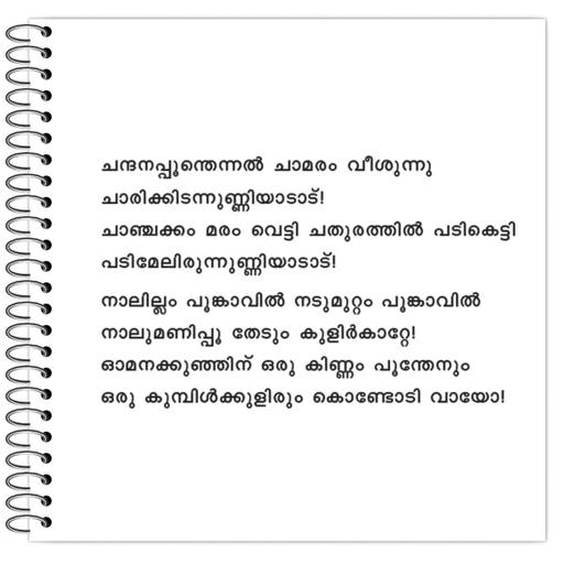 Picture of the product