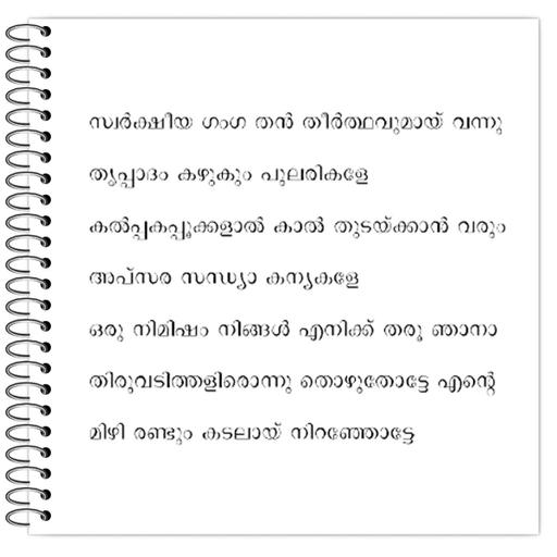 Picture of the product