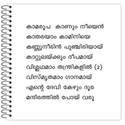 Picture of the product