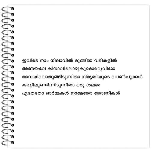 Picture of the product