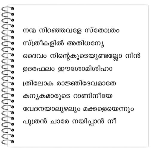 Picture of the product