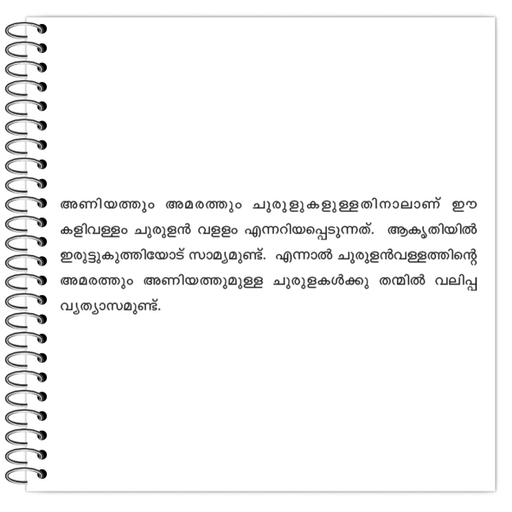 Picture of the product