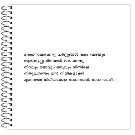 Picture of the product