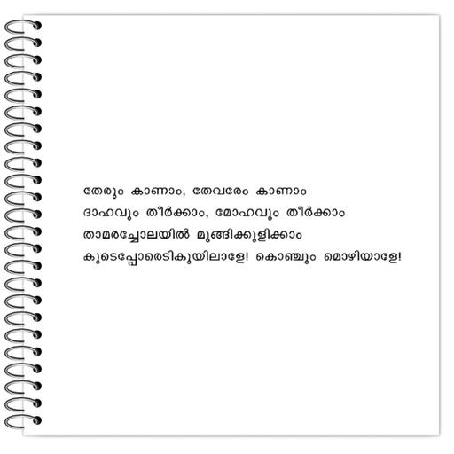 Picture of the product