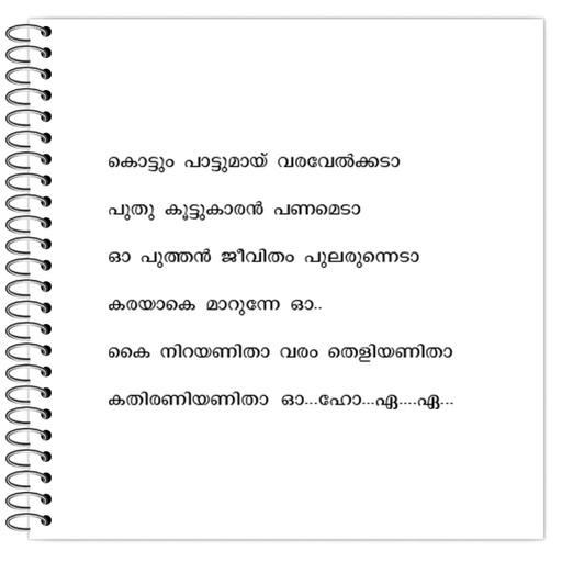 Picture of the product