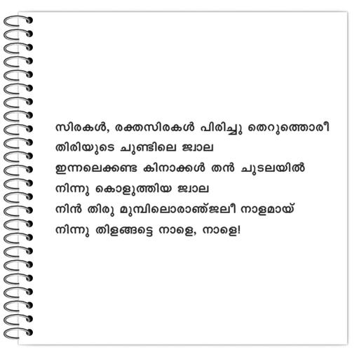 Picture of the product