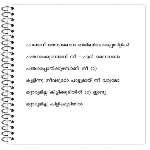 Picture of the product