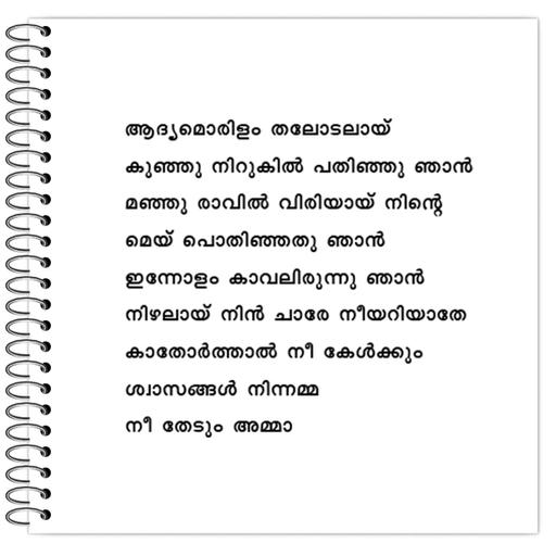 Picture of the product