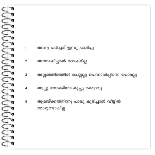 Picture of the product