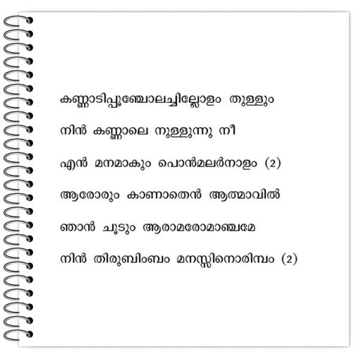 Picture of the product