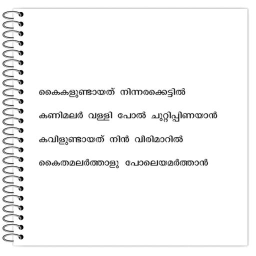 Picture of the product