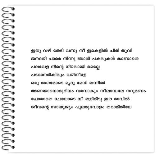 Picture of the product