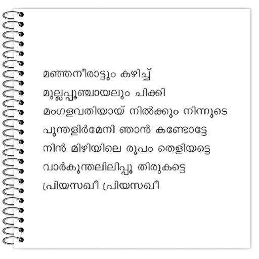 Picture of the product