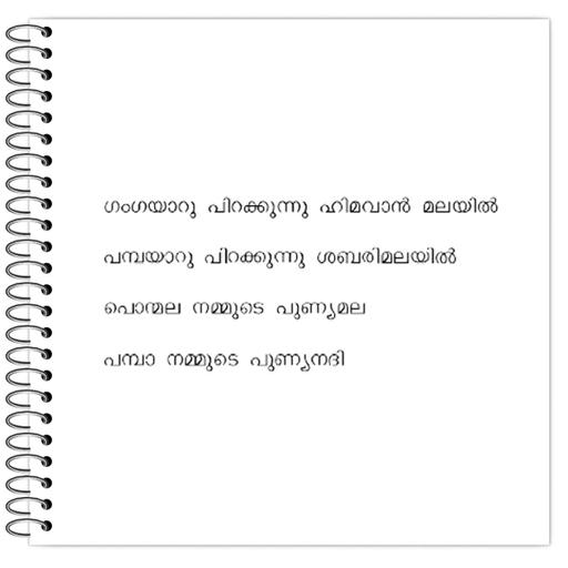 Picture of the product