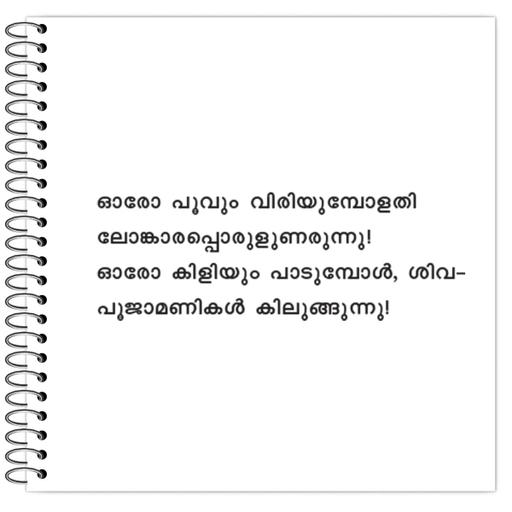 Picture of the product