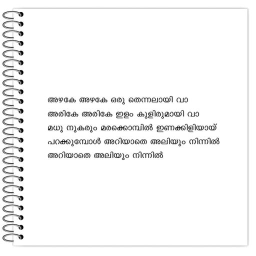 Picture of the product