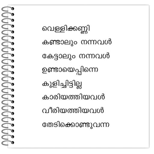 Picture of the product