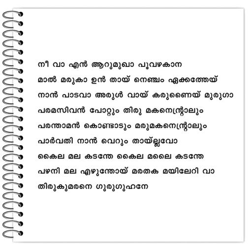 Picture of the product