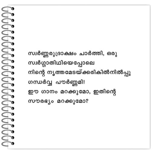 Picture of the product