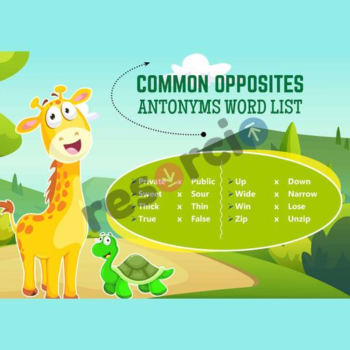 Picture of the product