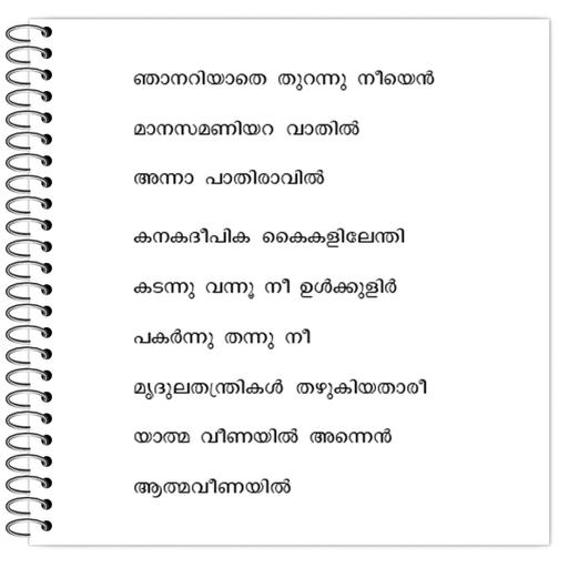 Picture of the product