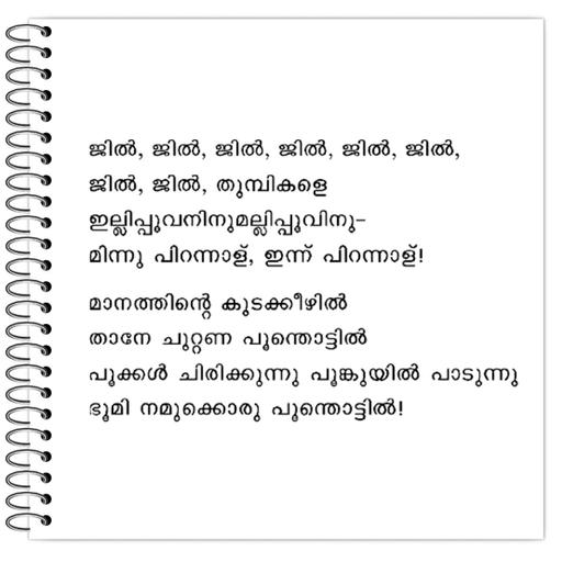 Picture of the product