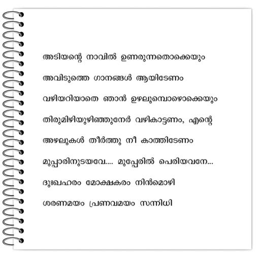 Picture of the product