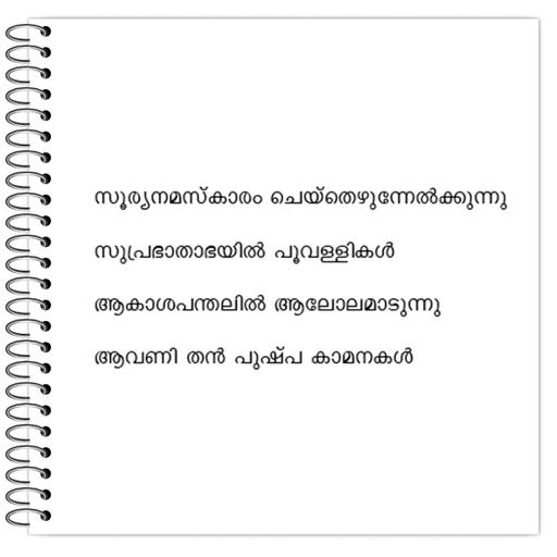 Picture of the product