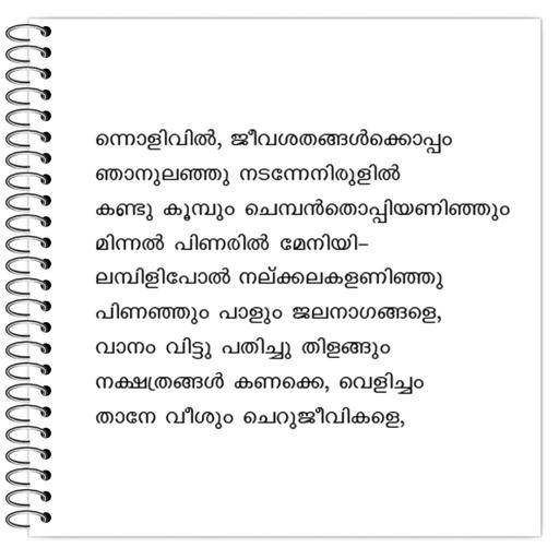 Picture of the product