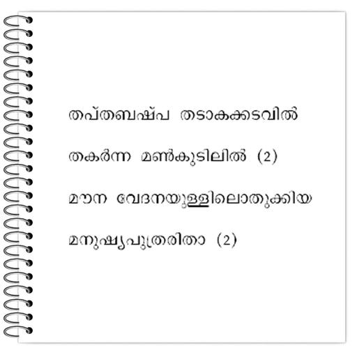 Picture of the product