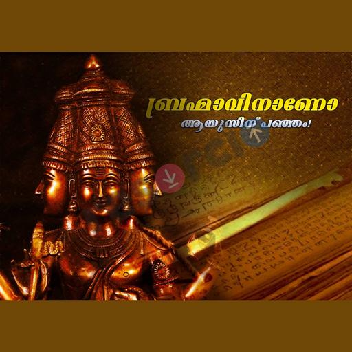 Picture of the product