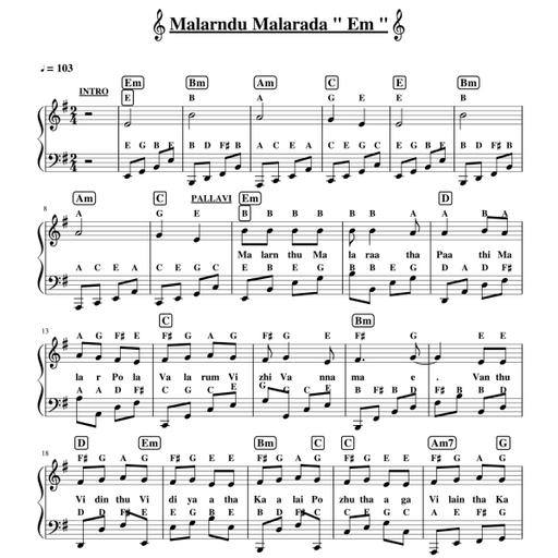 Picture of the product