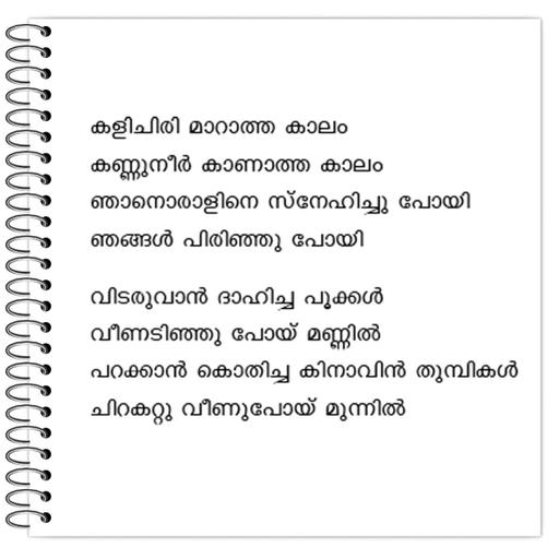 Picture of the product