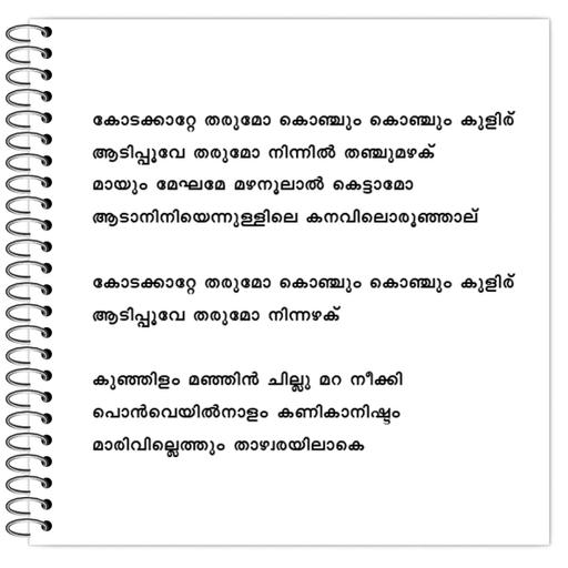 Picture of the product