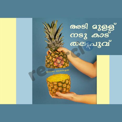 Picture of the product