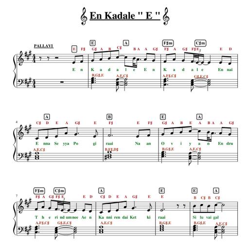 Picture of the product