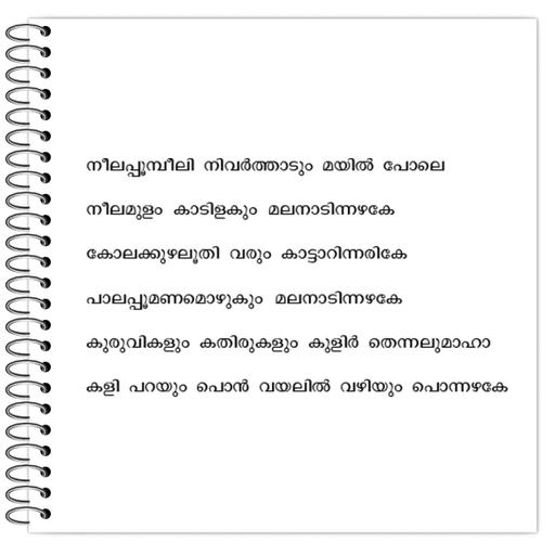 Picture of the product