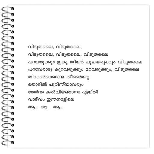 Picture of the product