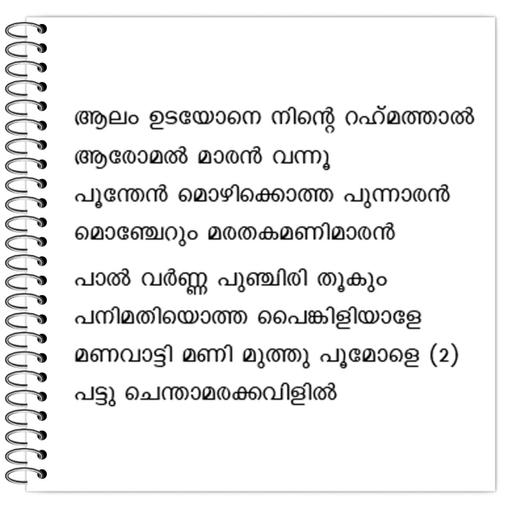 Picture of the product