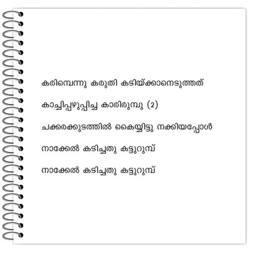 Picture of the product