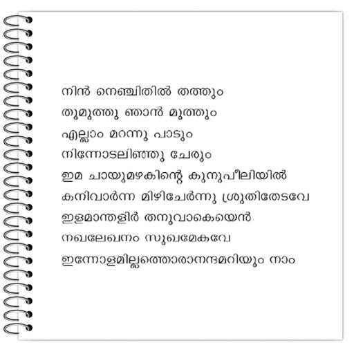 Picture of the product