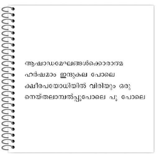 Picture of the product