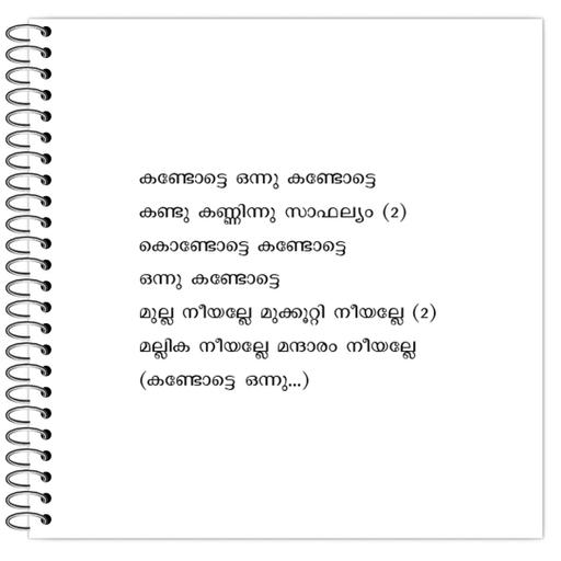 Picture of the product